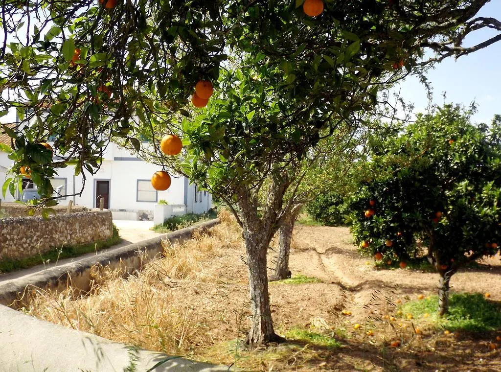 Casas Do Pomar Vila Lagos